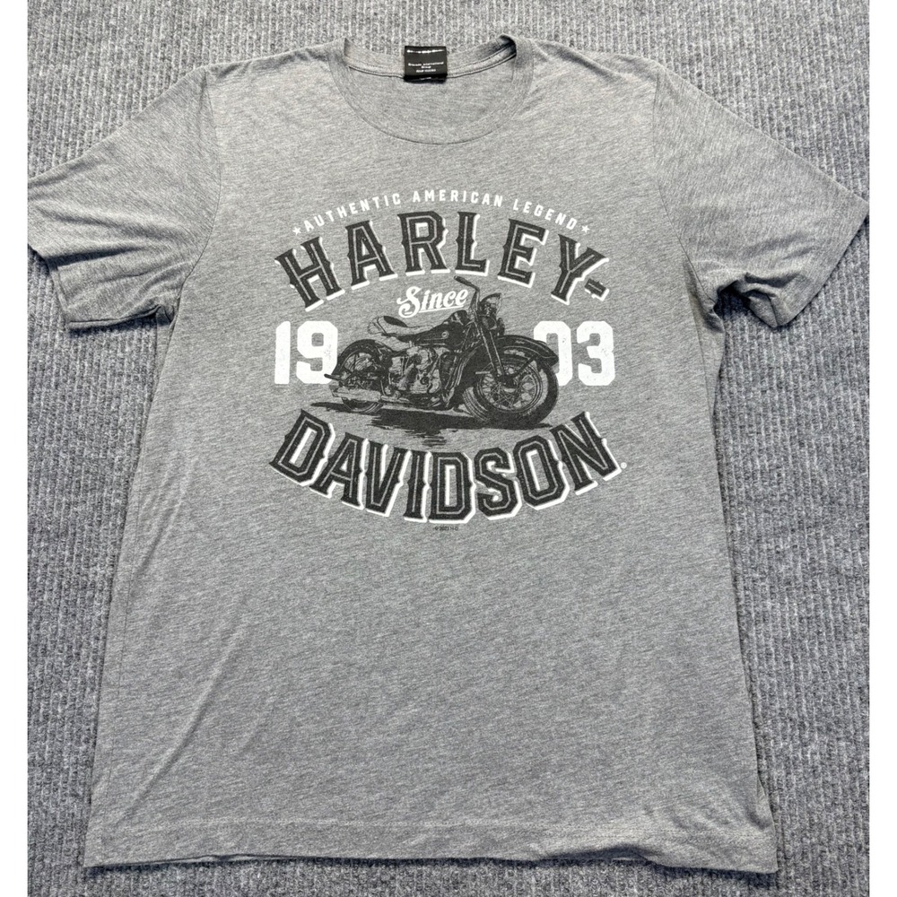 Harley-Davidson Mens Graphic T-Shirt Gray Tecumseh MI Dealer Tee Size M